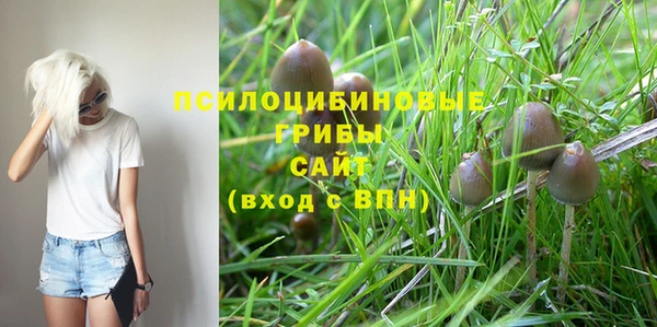 прущая мука Алексин