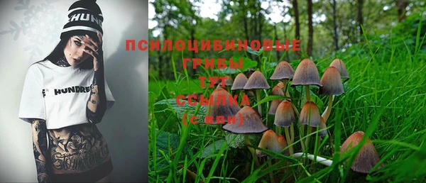 СК Алексеевка