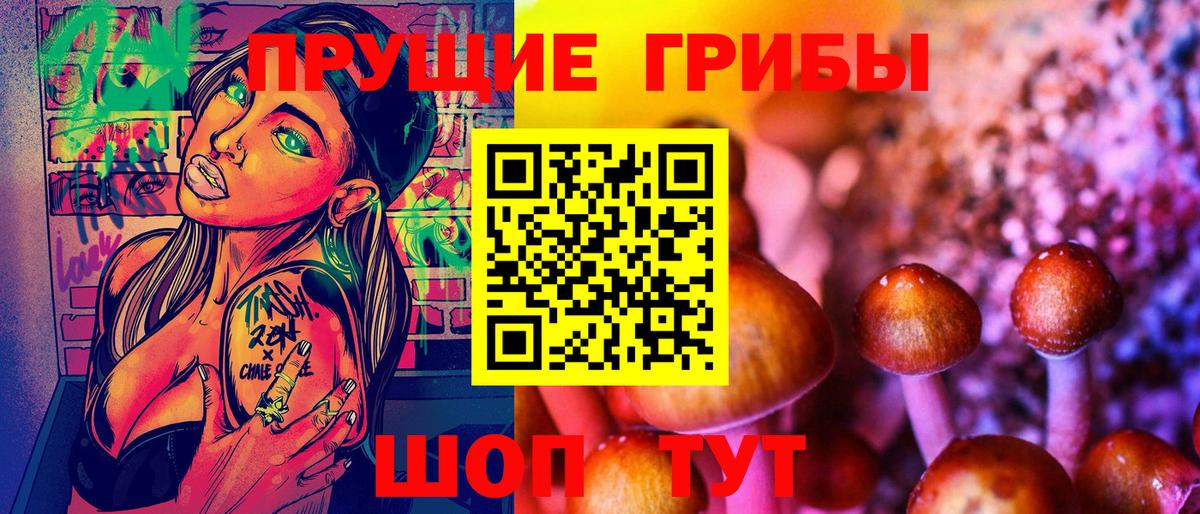 Галлюциногенные грибы мицелий  купить наркотики цена  Тосно  Вход с VPN  Галлюциногенные грибы Psilocybe 