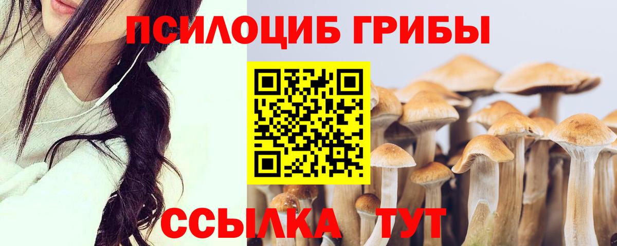 Галлюциногенные грибы Magic Shrooms Тосно